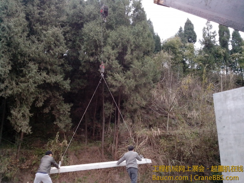 IMG_20130120_163735.jpg