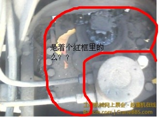 C08BCD55-8FF7-4FC5-A42D-D4203F19BBFD.jpg