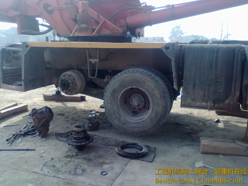 要找地下右边的大齿