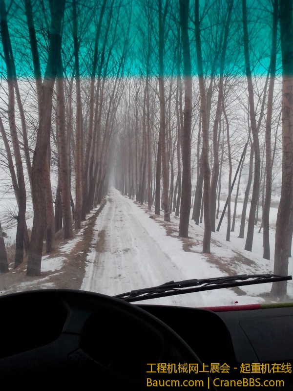 IMG_20130120_133215.jpg