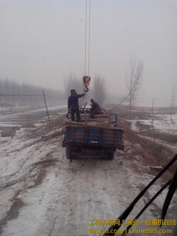 IMG_20130120_155508.jpg