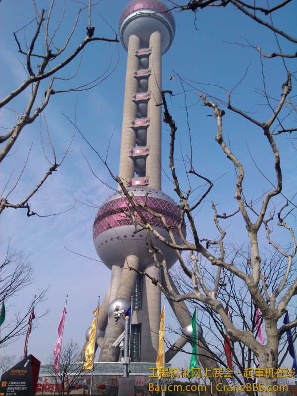 IMG_20130115_110004.jpg