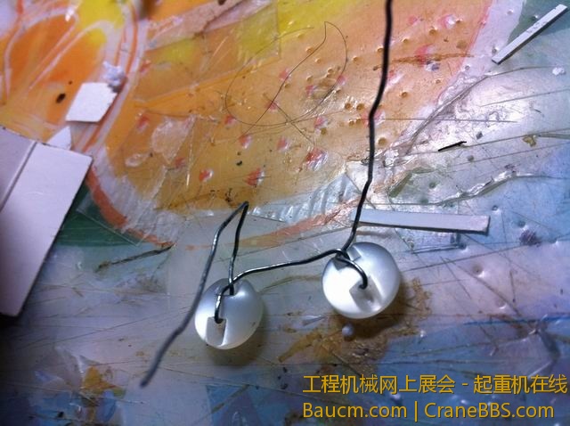 调整大小 IMG_6752.jpg