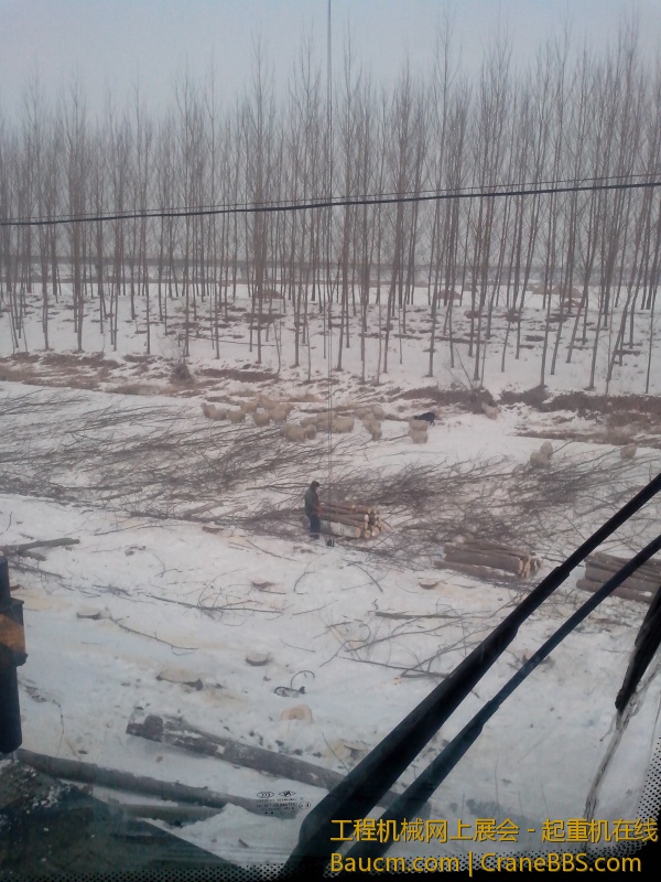 IMG_20130123_094800.jpg