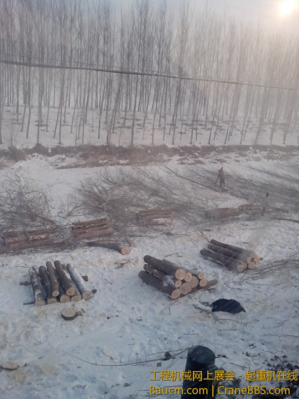 IMG_20130123_084710.jpg