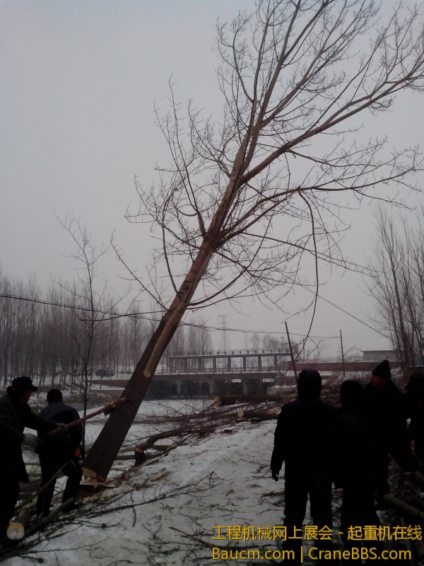 IMG_20130123_141624.jpg