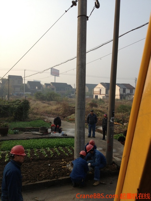 nEO_IMG_毛毛 227.jpg