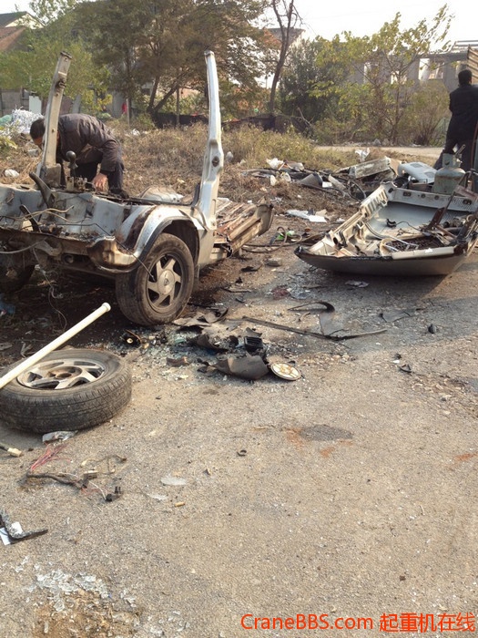 nEO_IMG_毛毛 254.jpg