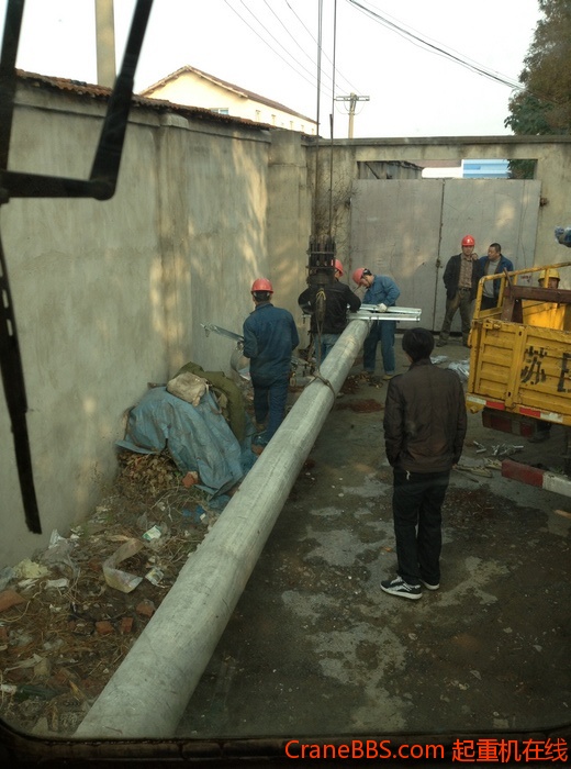 nEO_IMG_毛毛 230.jpg