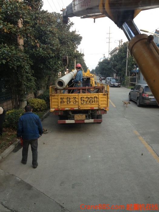 nEO_IMG_毛毛 255.jpg