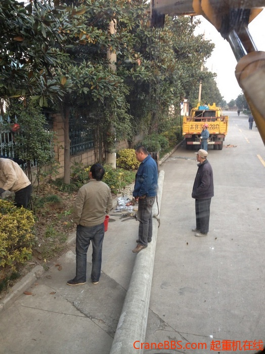 nEO_IMG_毛毛 256.jpg