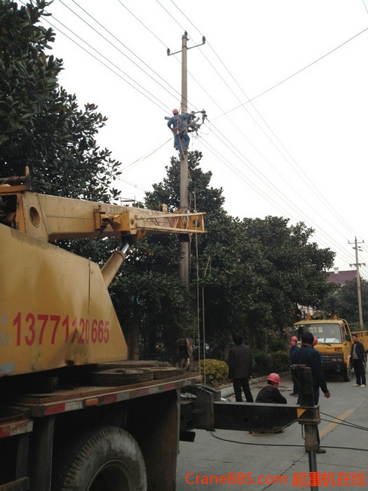 nEO_IMG_毛毛 257.jpg