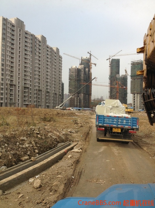 nEO_IMG_毛毛 390.jpg