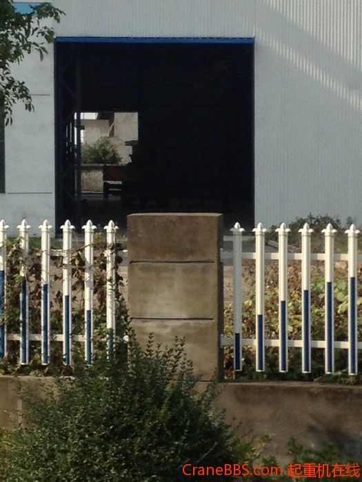 nEO_IMG_毛毛 447.jpg