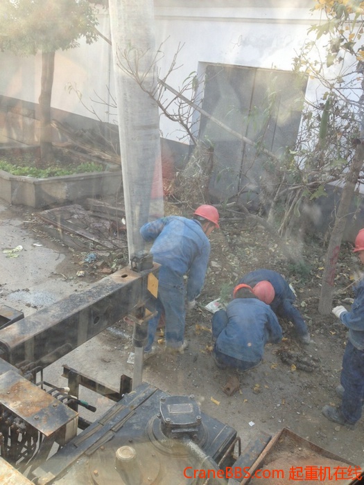 nEO_IMG_毛毛 449.jpg