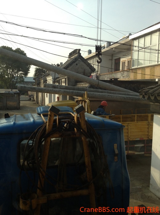 nEO_IMG_毛毛 450.jpg