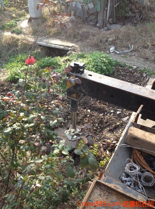 nEO_IMG_毛毛 451.jpg