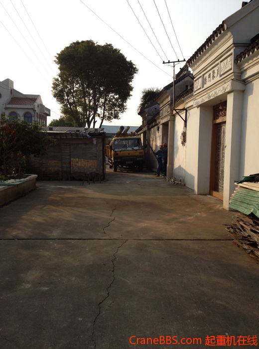 nEO_IMG_毛毛 452.jpg