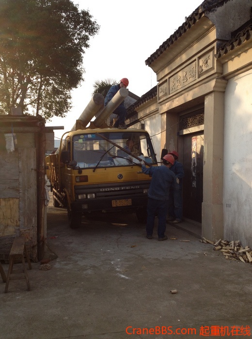 nEO_IMG_毛毛 453.jpg