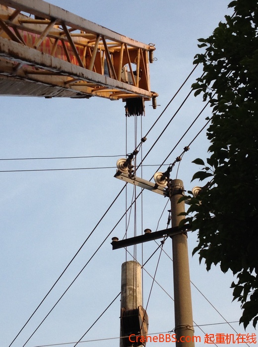 nEO_IMG_毛毛 459.jpg