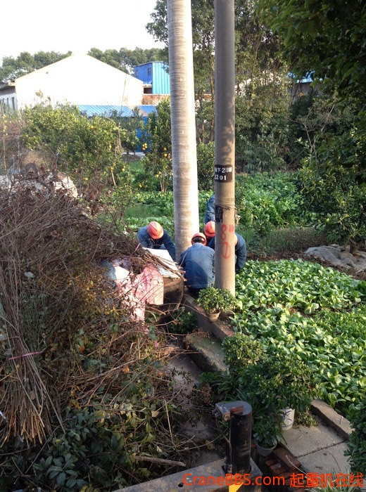 nEO_IMG_毛毛 460.jpg