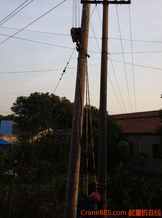 nEO_IMG_毛毛 462.jpg