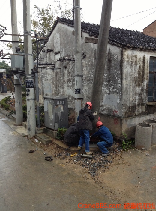 nEO_IMG_毛毛 468.jpg