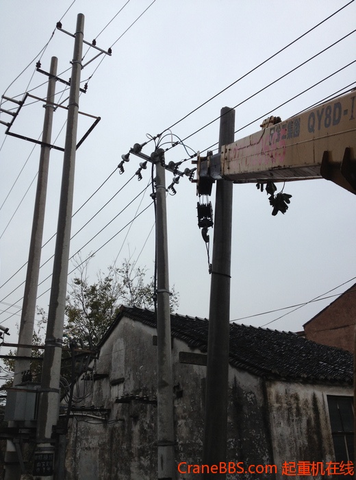 nEO_IMG_毛毛 469.jpg