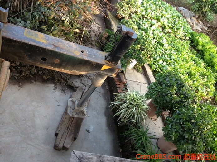 nEO_IMG_毛毛 455.jpg