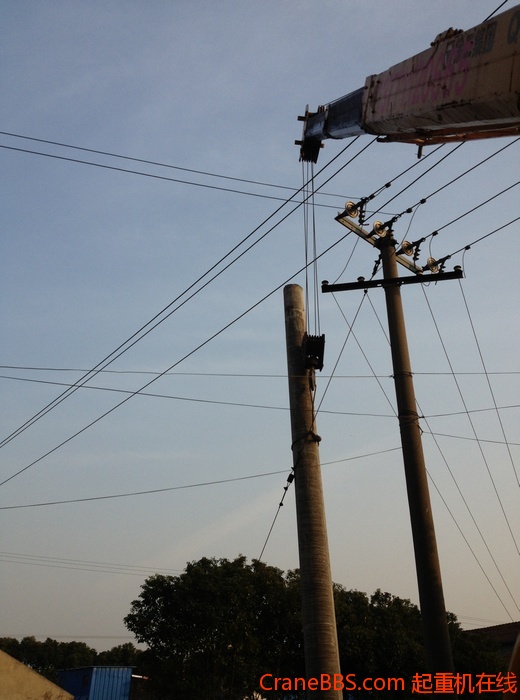 nEO_IMG_毛毛 457.jpg