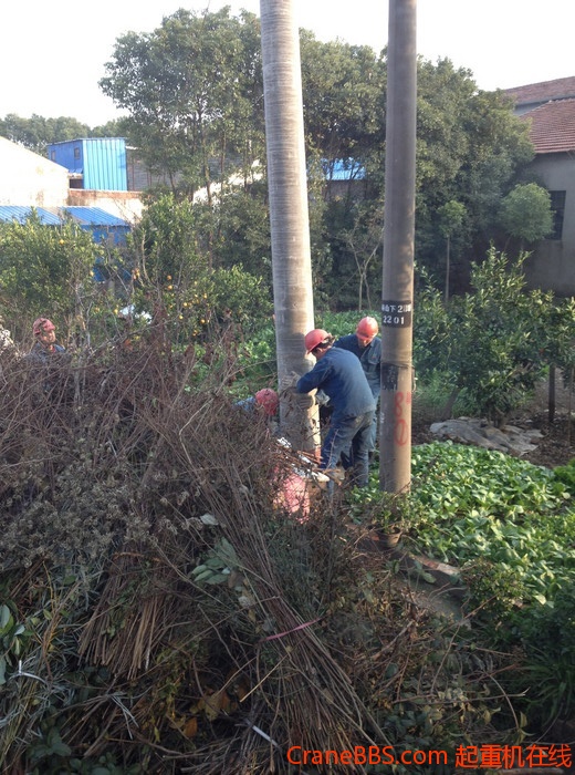 nEO_IMG_毛毛 458.jpg