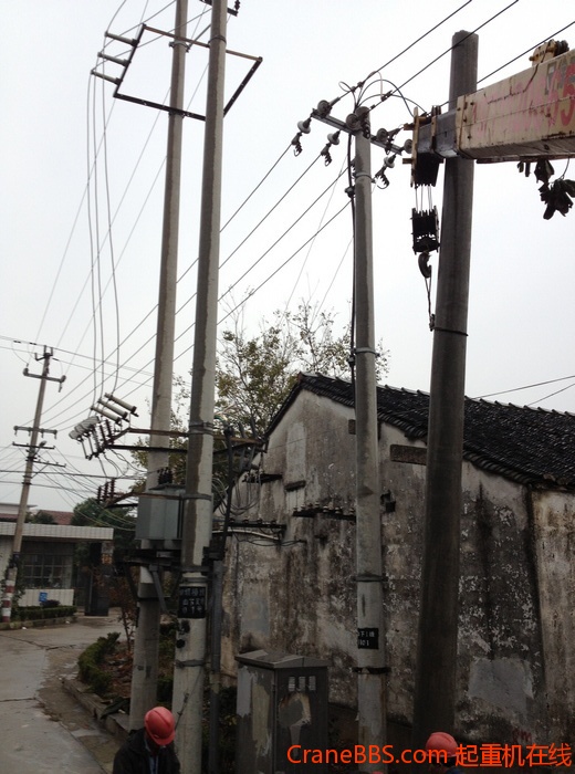 nEO_IMG_毛毛 470.jpg