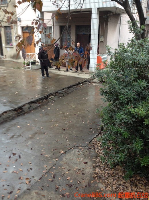 nEO_IMG_毛毛 471.jpg