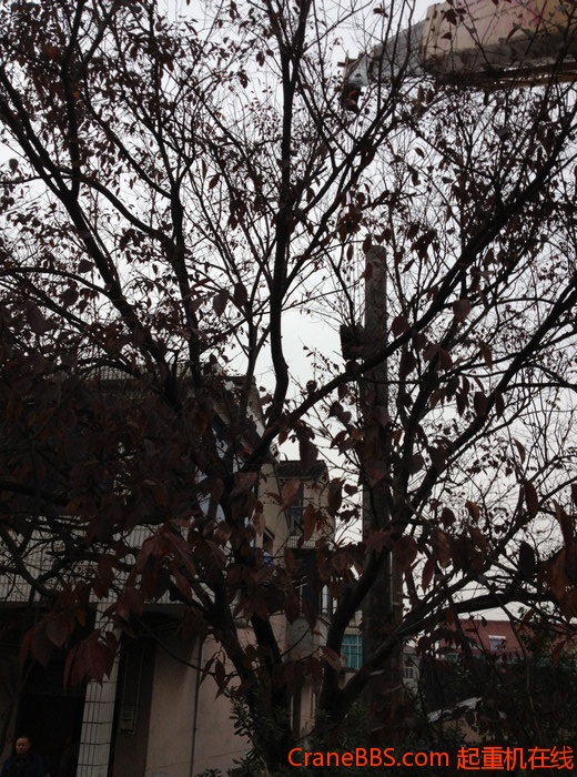 nEO_IMG_毛毛 472.jpg