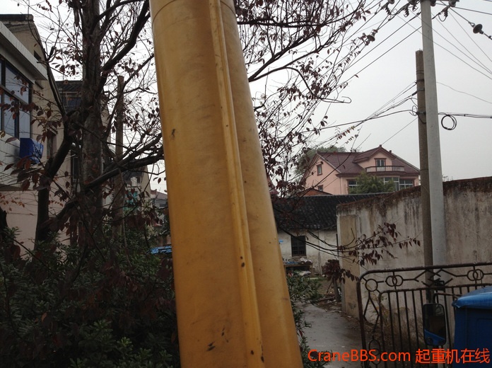 nEO_IMG_毛毛 473.jpg