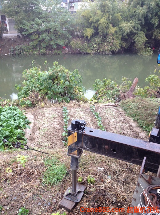 nEO_IMG_毛毛 477.jpg