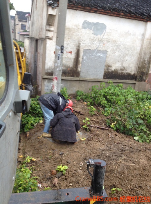 nEO_IMG_毛毛 479.jpg