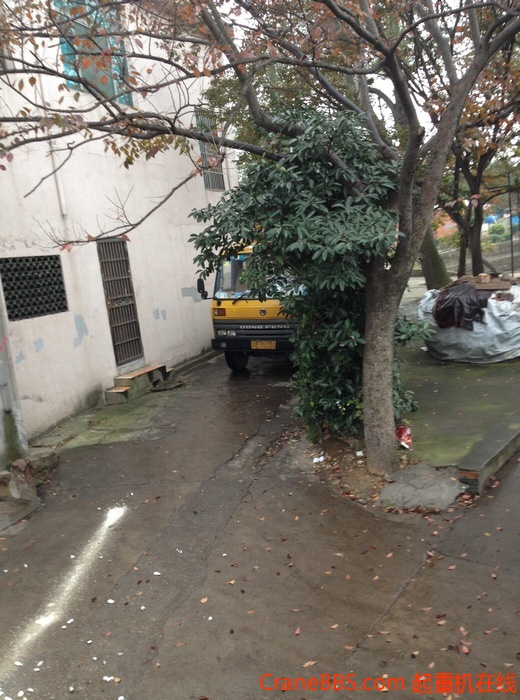 nEO_IMG_毛毛 474.jpg