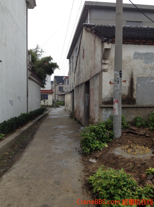 nEO_IMG_毛毛 475.jpg