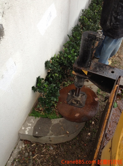 nEO_IMG_毛毛 483.jpg