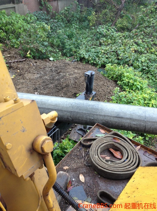 nEO_IMG_毛毛 484.jpg