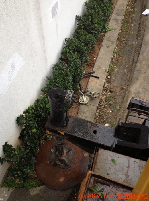 nEO_IMG_毛毛 485.jpg