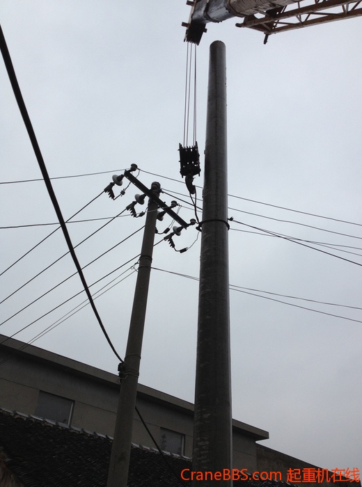 nEO_IMG_毛毛 486.jpg