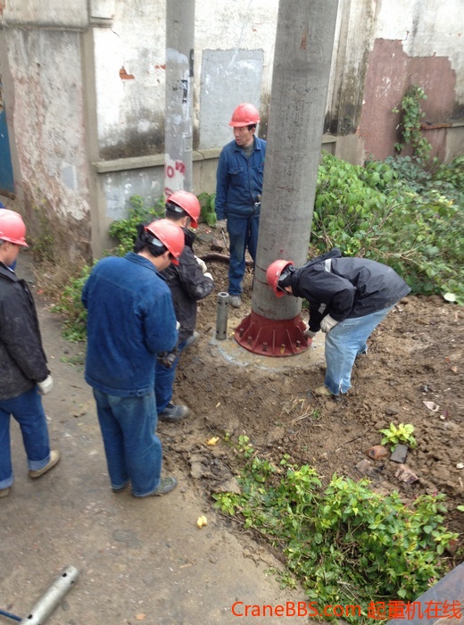 nEO_IMG_毛毛 487.jpg