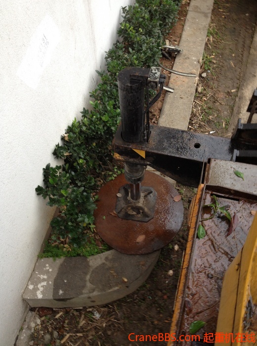 nEO_IMG_毛毛 480.jpg