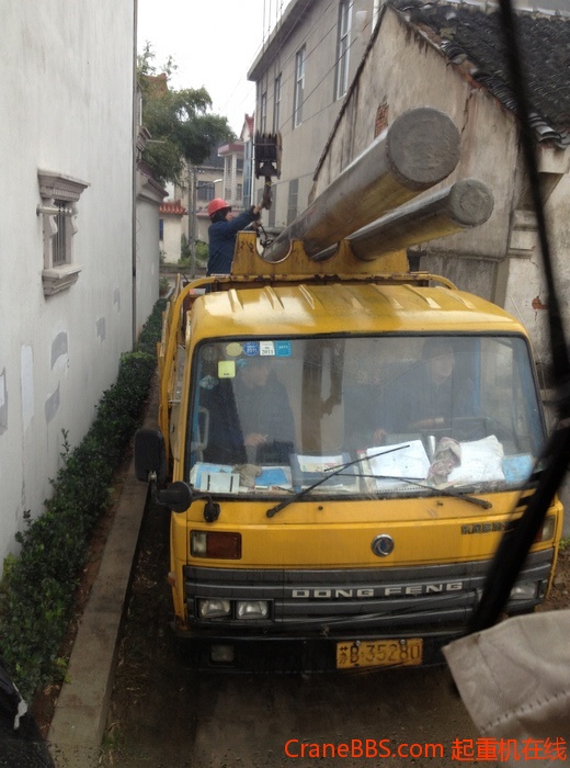 nEO_IMG_毛毛 481.jpg