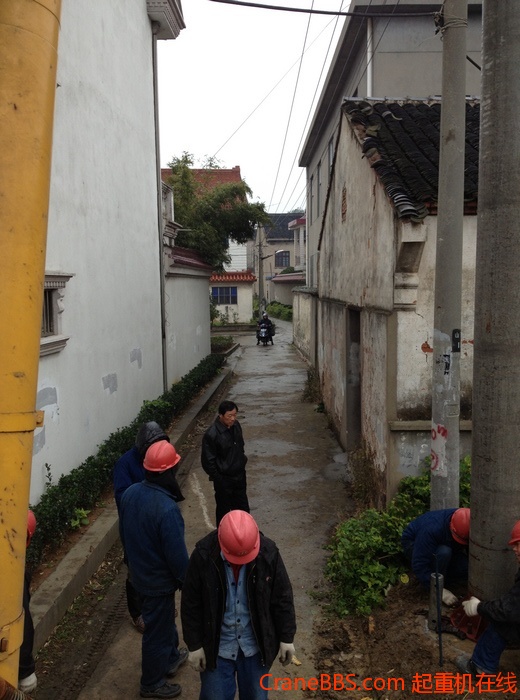 nEO_IMG_毛毛 488.jpg