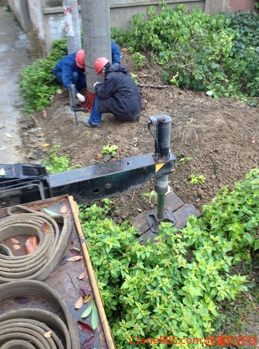 nEO_IMG_毛毛 489.jpg