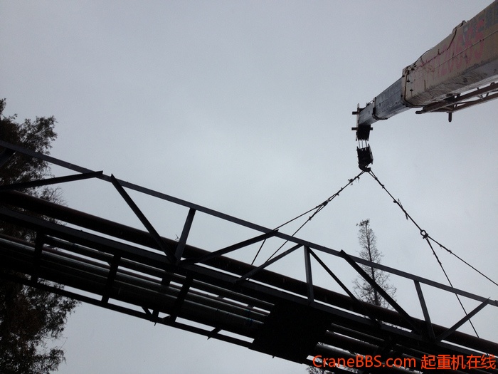 nEO_IMG_毛毛 501.jpg