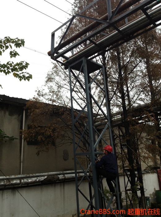 nEO_IMG_毛毛 500.jpg